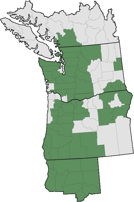 More Information - - Pacific Northwest Map Black (467x699), Png Download