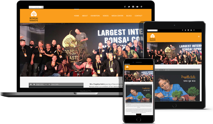 Bonsai Namaste - Online Advertising (800x540), Png Download