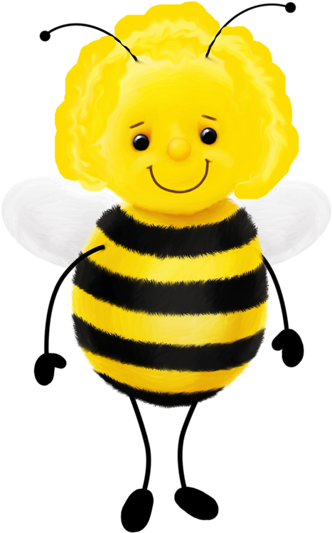 E2487371 - سكرابز نحول (492x800), Png Download