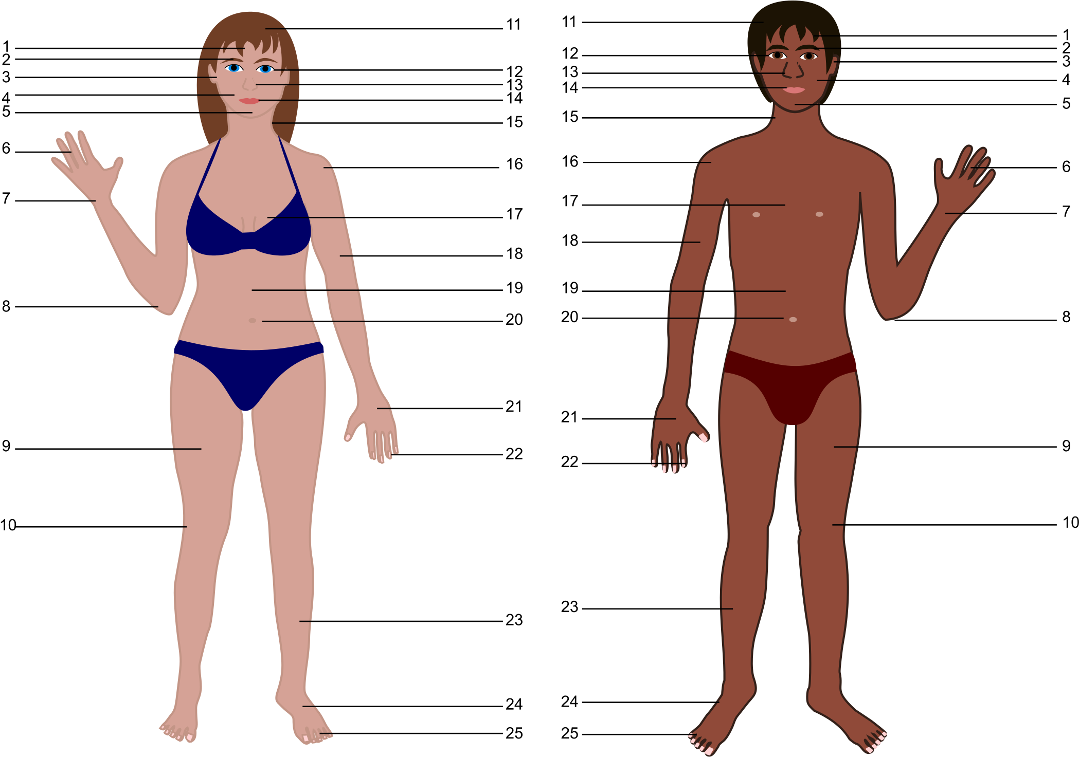 Big Image - People That Are Both Genders (2400x1523), Png Download