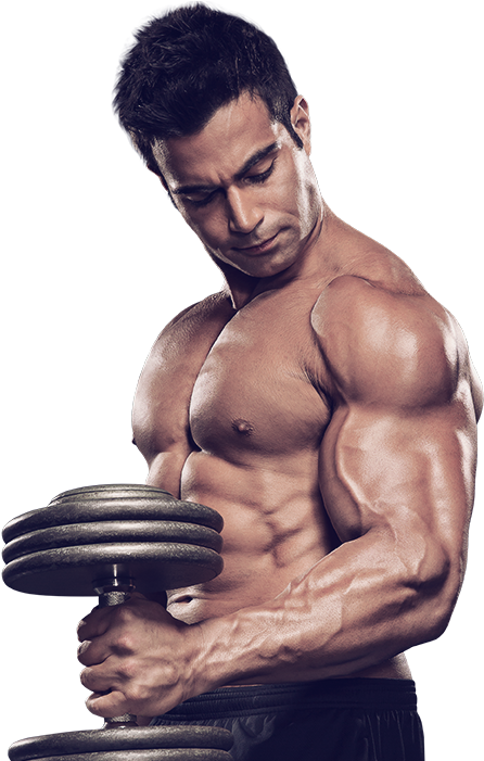 Dietary Supplement Bodybuilding Weight - Muscle Model Png (600x700), Png Download
