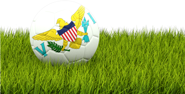 Football In Grass - Swedish Flag Football Png (640x480), Png Download