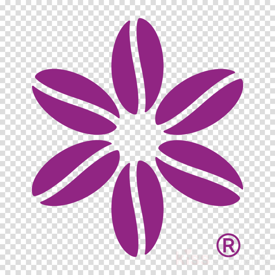 Hand Holding Flowers Clipart Ugc Net Clip Art - Hands Holding Flowers Clipart (900x900), Png Download