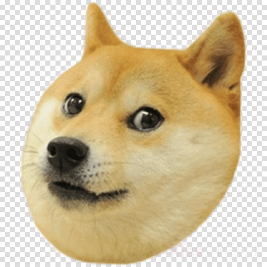 Doge Transparent Clipart Shiba Inu Doge Snake - Transparent Background Doge Png (900x900), Png Download