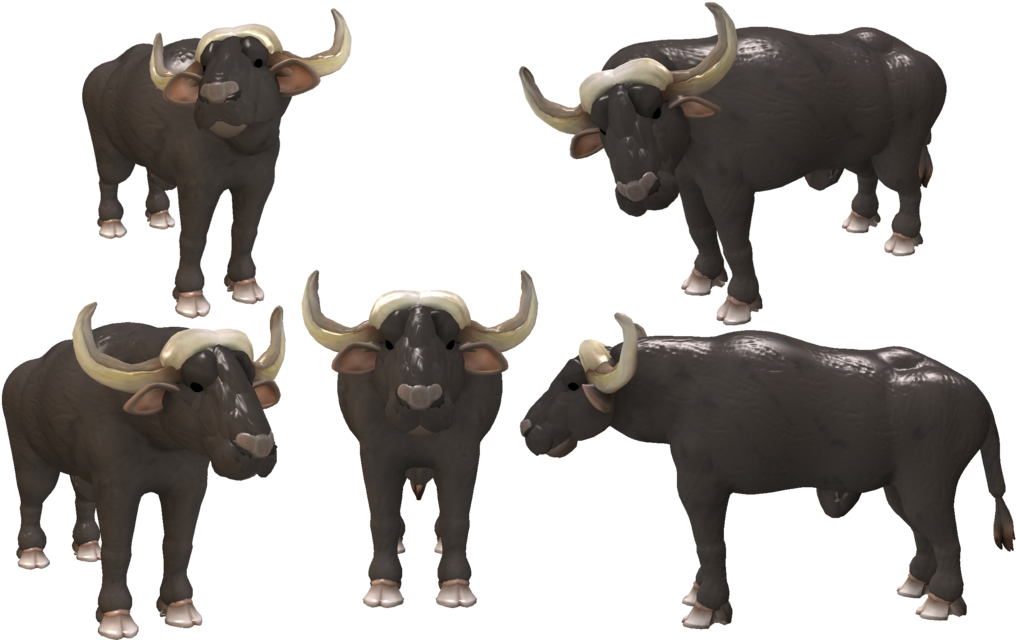 Water Buffalo Transparent Images Png - Spore Buffalo (800x500), Png Download
