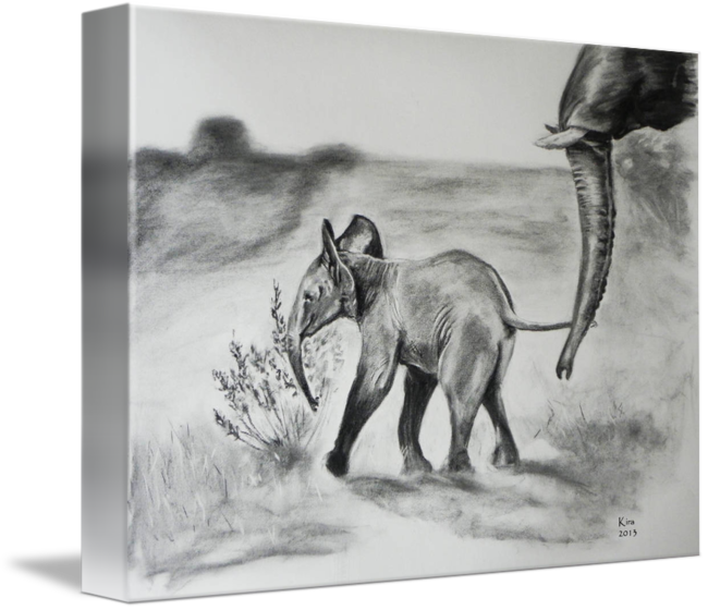 Picture Freeuse African Drawing Charcoal - Drawing Indian Elephant Baby (650x560), Png Download