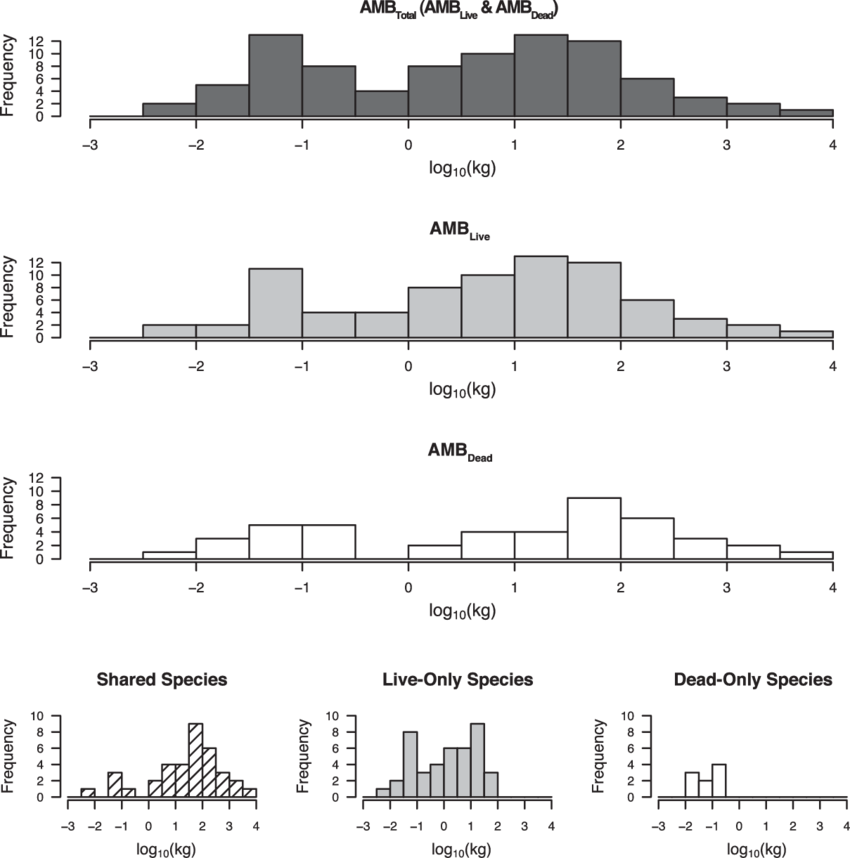 Log Transformed Body Size Frequency Distributions Of - Amboseli National Park (850x858), Png Download