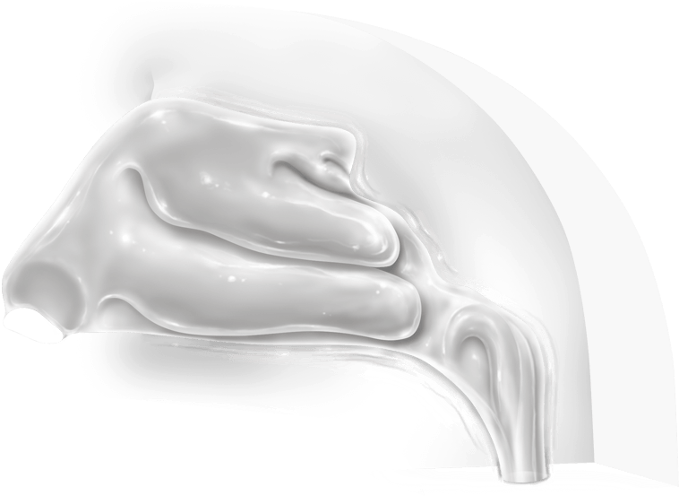 3d Nasal Cast Model - Relief (776x553), Png Download