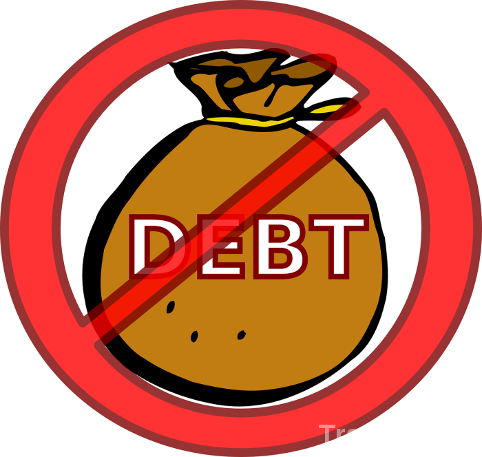 Png Transparent Download The Consequences Of Agricultural - Debt Free (700x664), Png Download