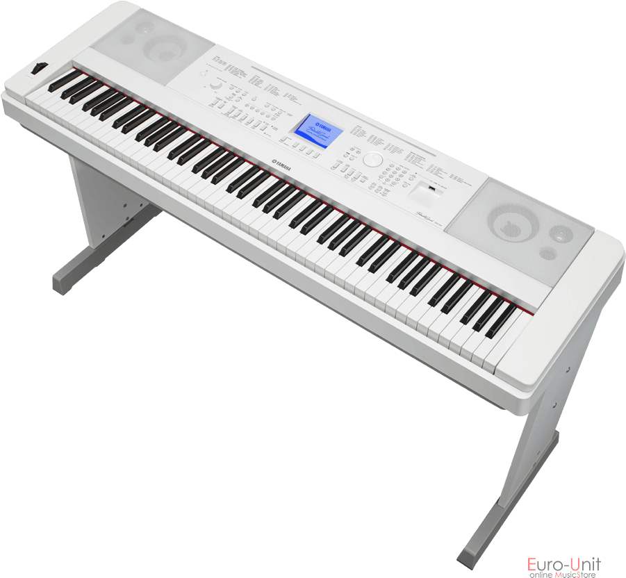Yamaha Dgx 660 Price (900x900), Png Download