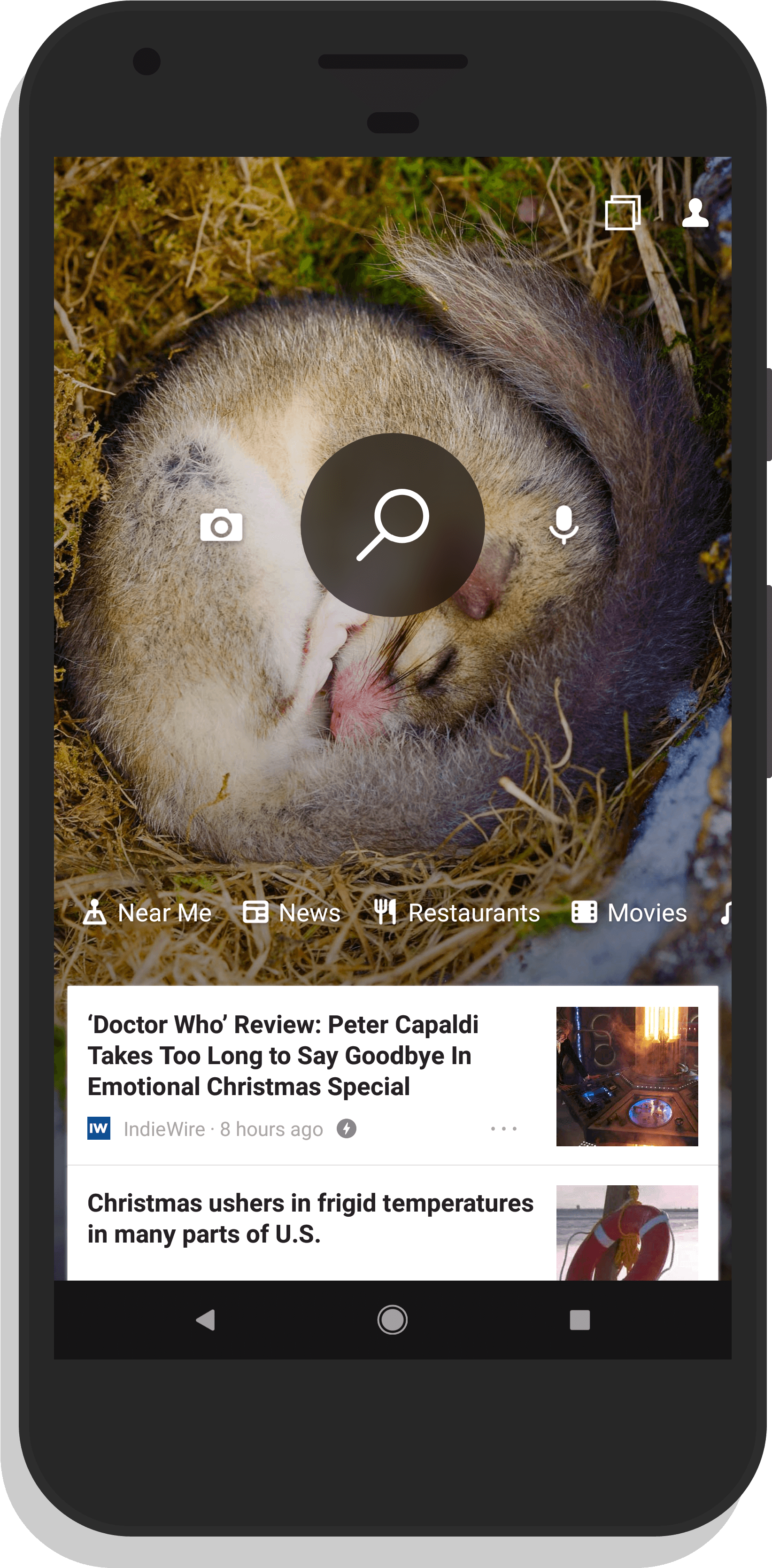 Bing For Android Update Brings Cross-device Search - Snowy Owl (2134x3840), Png Download