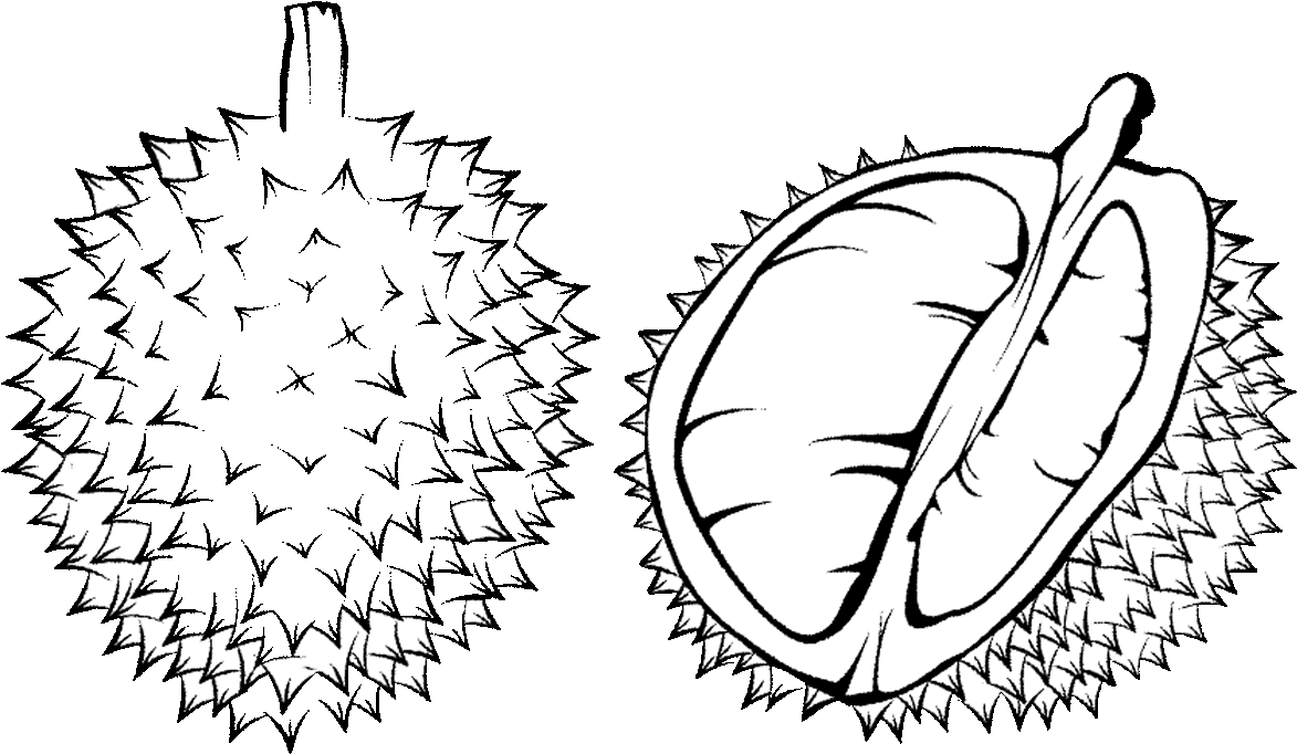 Durian Drawing Png - Durian Black And White (1280x720), Png Download