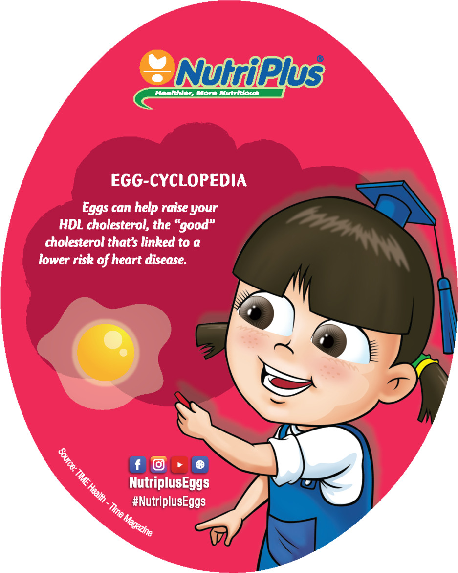 Egg (1000x1242), Png Download