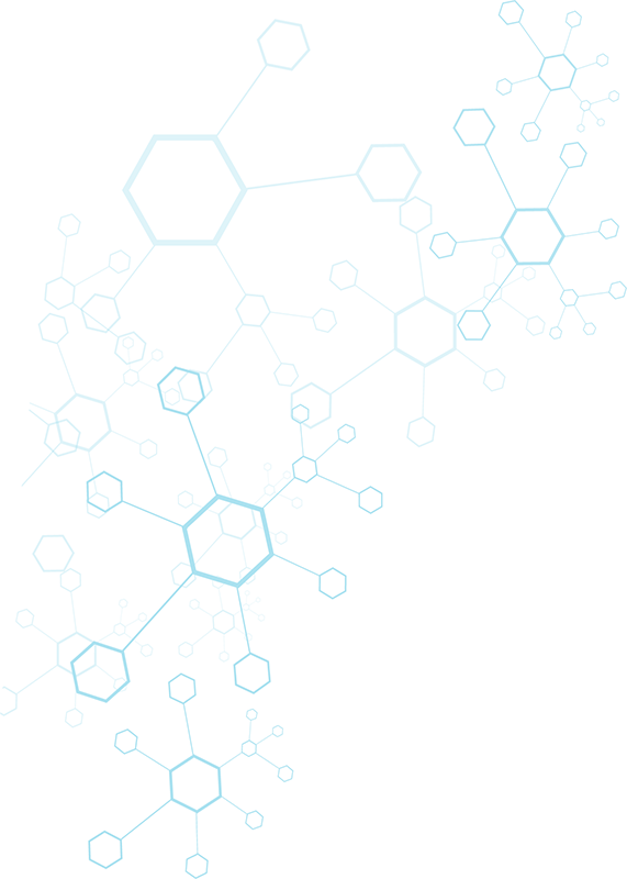 这是描述信息 - Line Art (571x800), Png Download