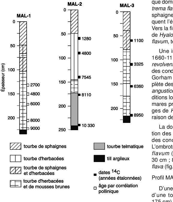 Nature Des Sédiments Des Profils Échantillonnés - Bog (577x672), Png Download
