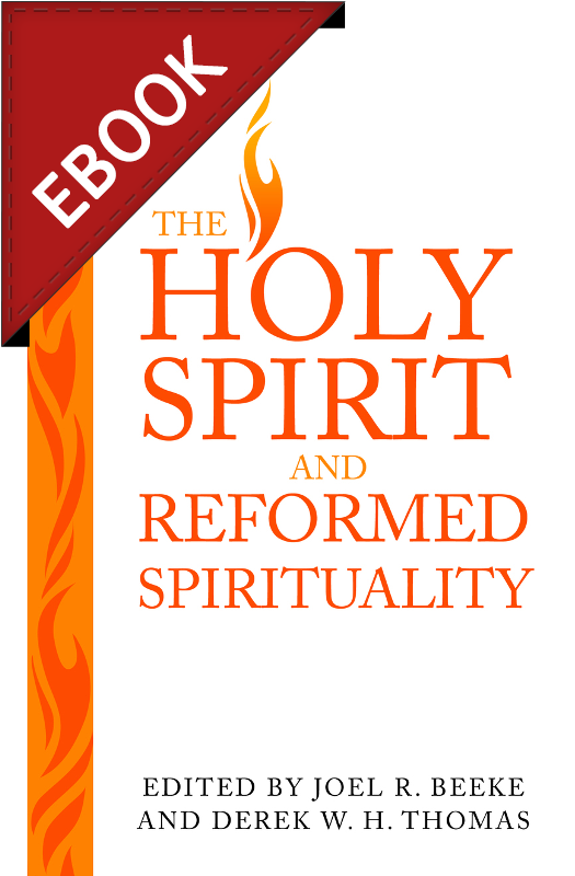 Loading Zoom - Holy Spirit And Reformed Spirituality By Joel R Beeke (600x900), Png Download