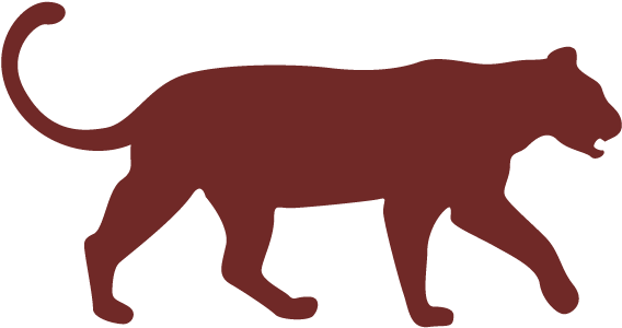 Excellent Leopard Sightings And Photo Opportunities - Vector Graphics (625x625), Png Download