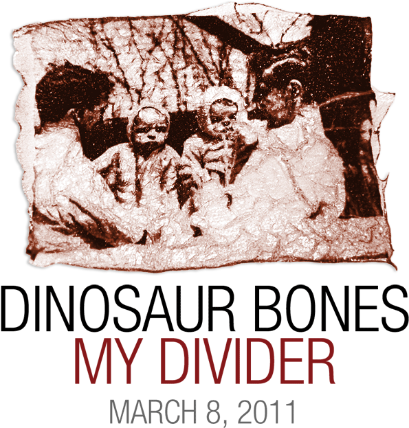 My Divider (lp) - Vinyl Lp (603x622), Png Download