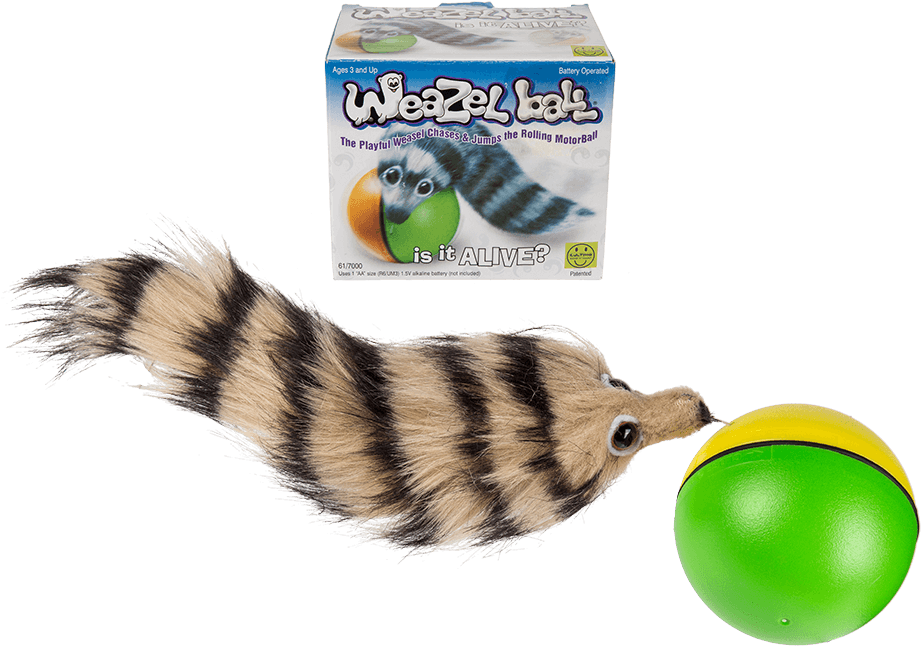 Animal Chase Ball Weasel Ball (945x709), Png Download