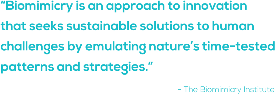 Biomimicrydefinition-01 - Cooling Down (1000x393), Png Download