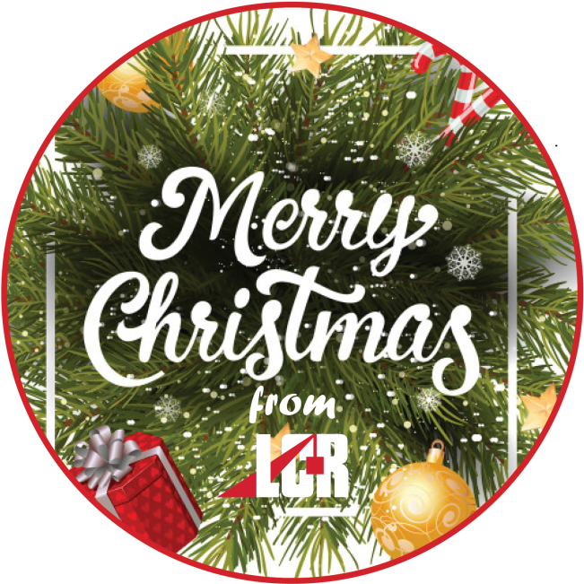 Merry Christmas & Happy New Year From The Team At Lcr - Christmas Day (1000x667), Png Download