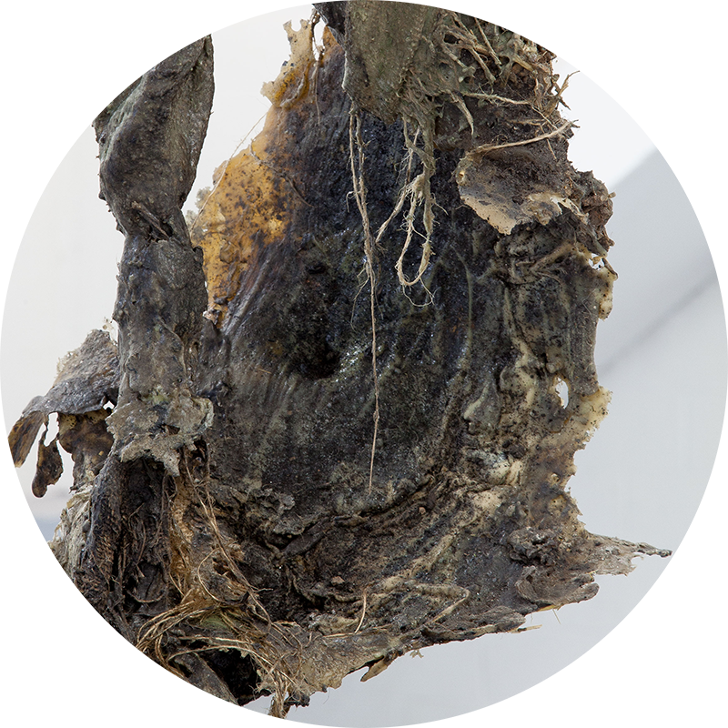 4444 - Natural Material (800x800), Png Download