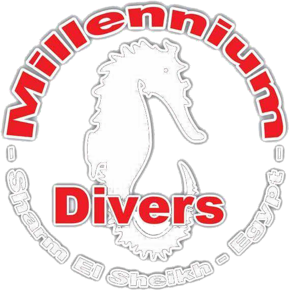 Call Us Now - Millennium Divers Sharm (664x588), Png Download