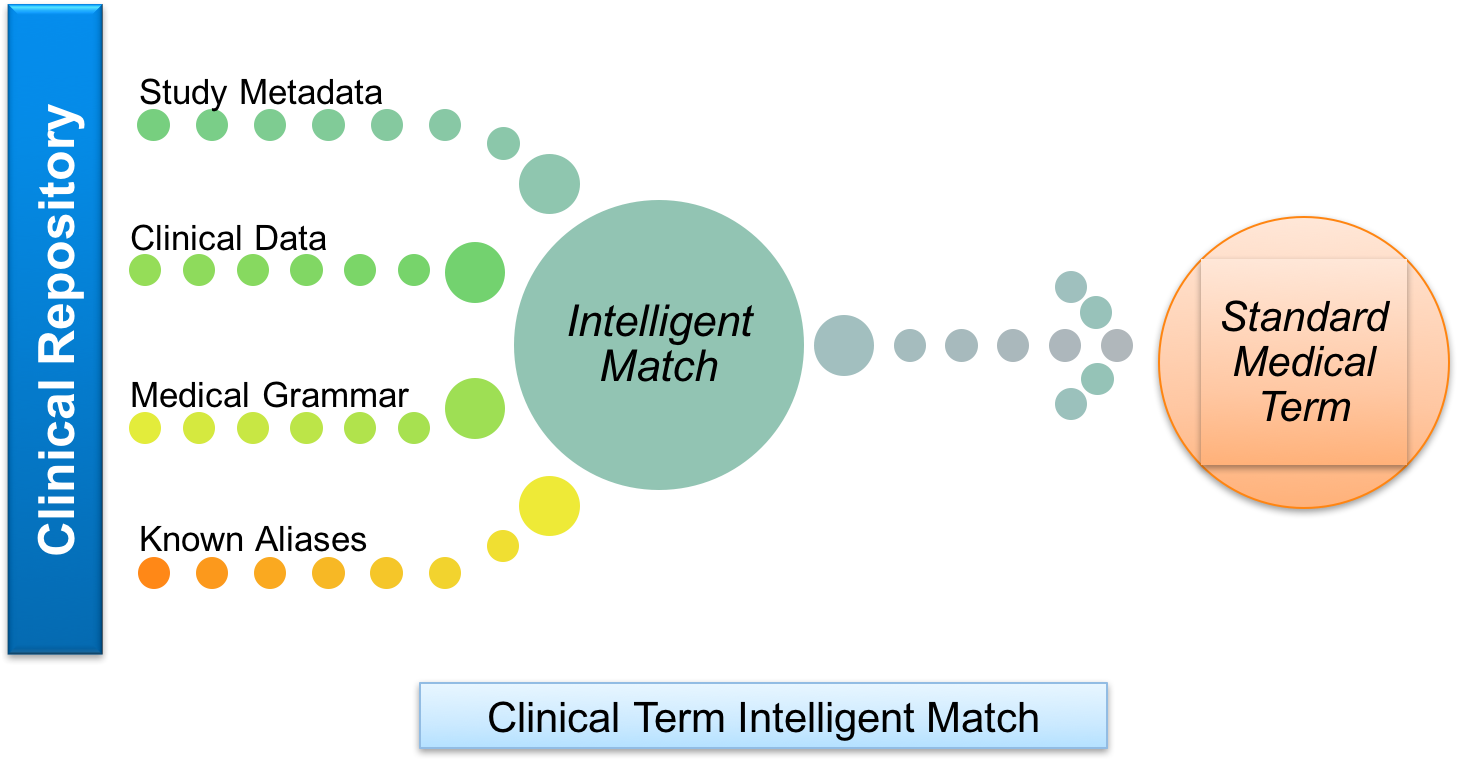 Overview - Diagram (1458x796), Png Download
