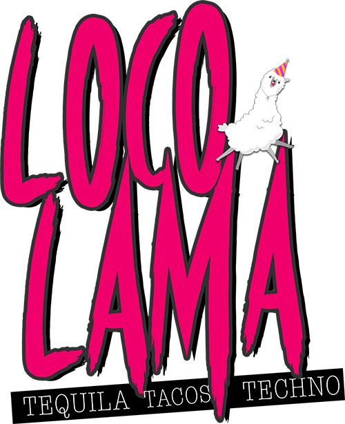 Loco Lama Group - Data Protection (500x615), Png Download