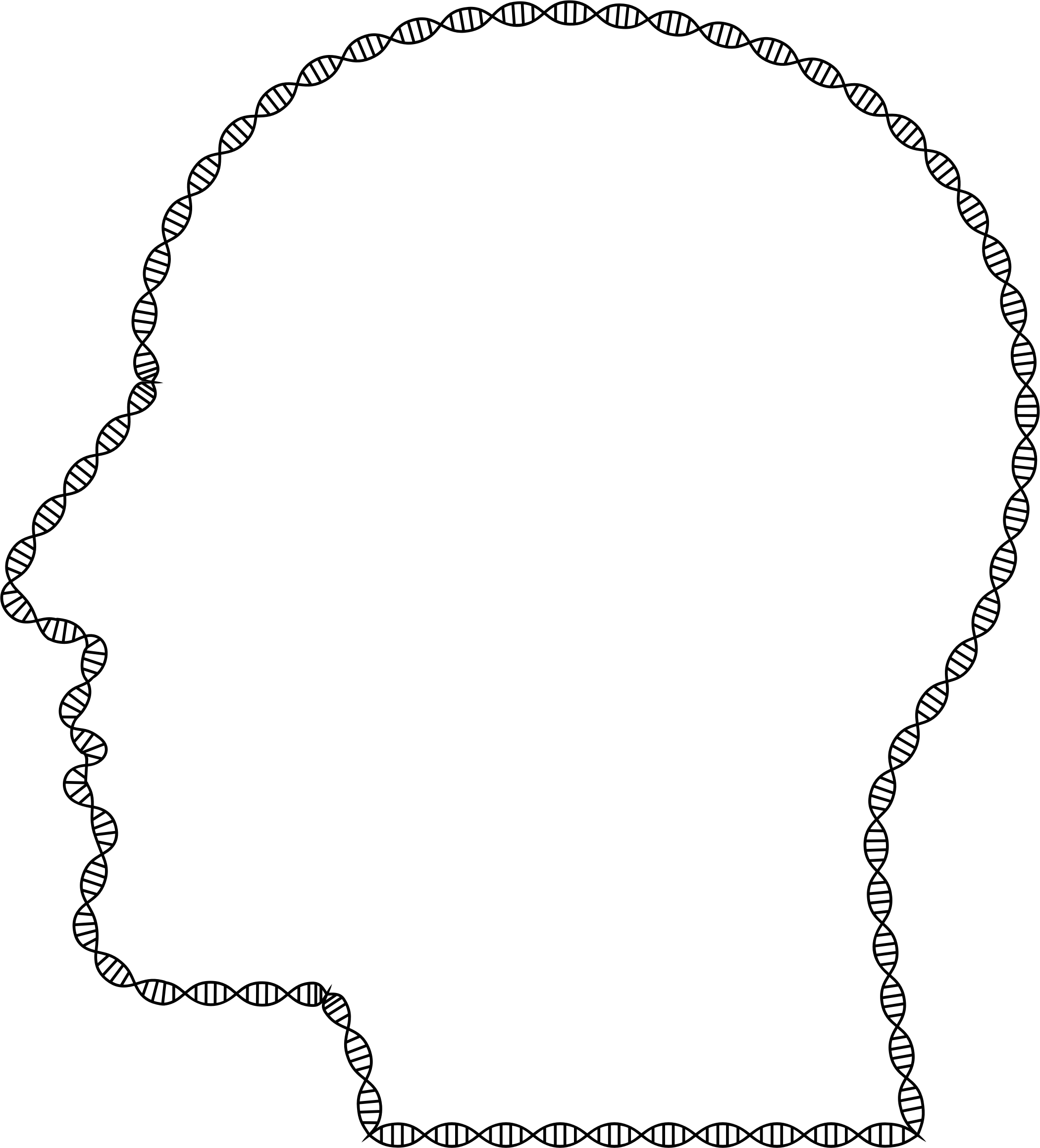 Helix Man Head Big Image Png - Head Man Line Art (2100x2318), Png Download