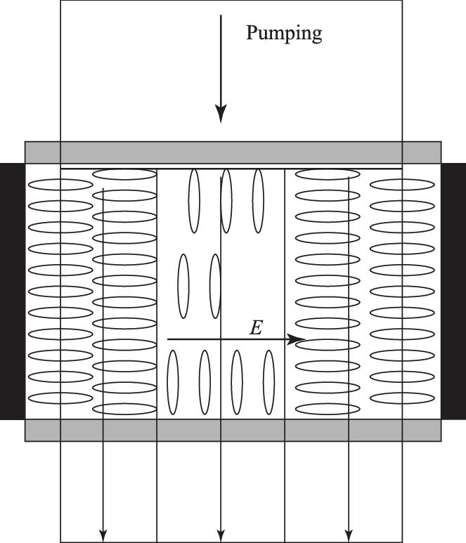 Relative Arrangement Of The Stripes In The Lc Cell - Number (663x773), Png Download