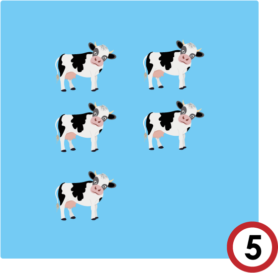 Cinco-vacas - Teddy Roosevelt Terrier (600x600), Png Download