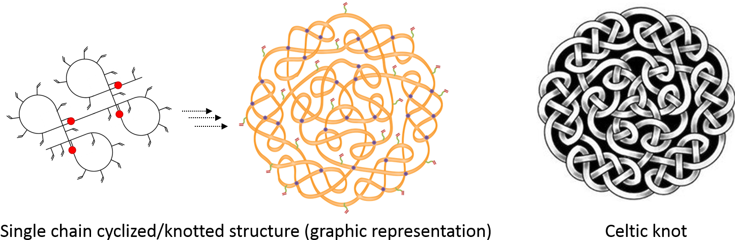 Single Chain Cyclized Knotted Polymer Vs Celtic Knot - Zazzle Celtic Knot Pentacle Earrings, Women's, Pale (1589x528), Png Download