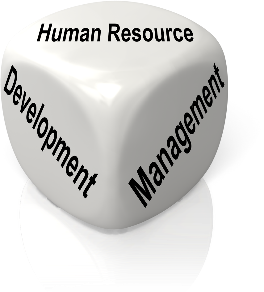 White Dice Custom - Competence Autonomy (1000x1000), Png Download