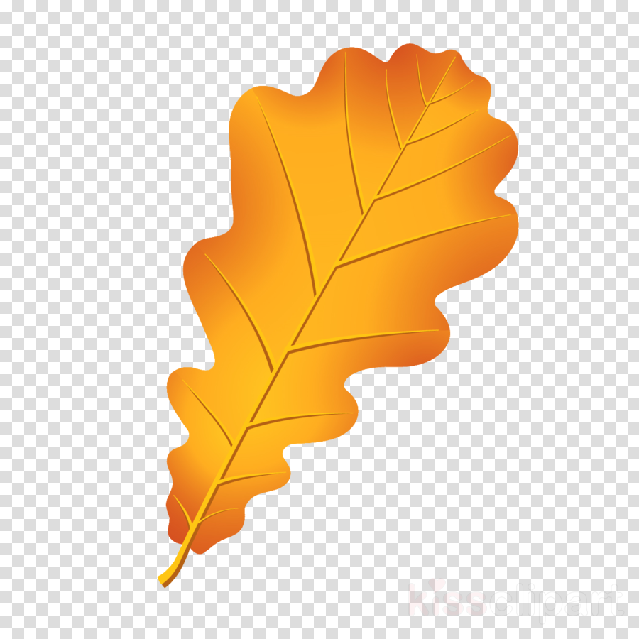 Germany Map No Background (900x900), Png Download