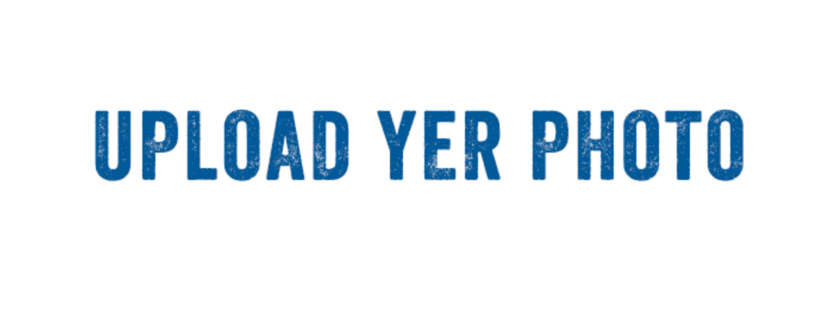 About - Wine (1200x478), Png Download