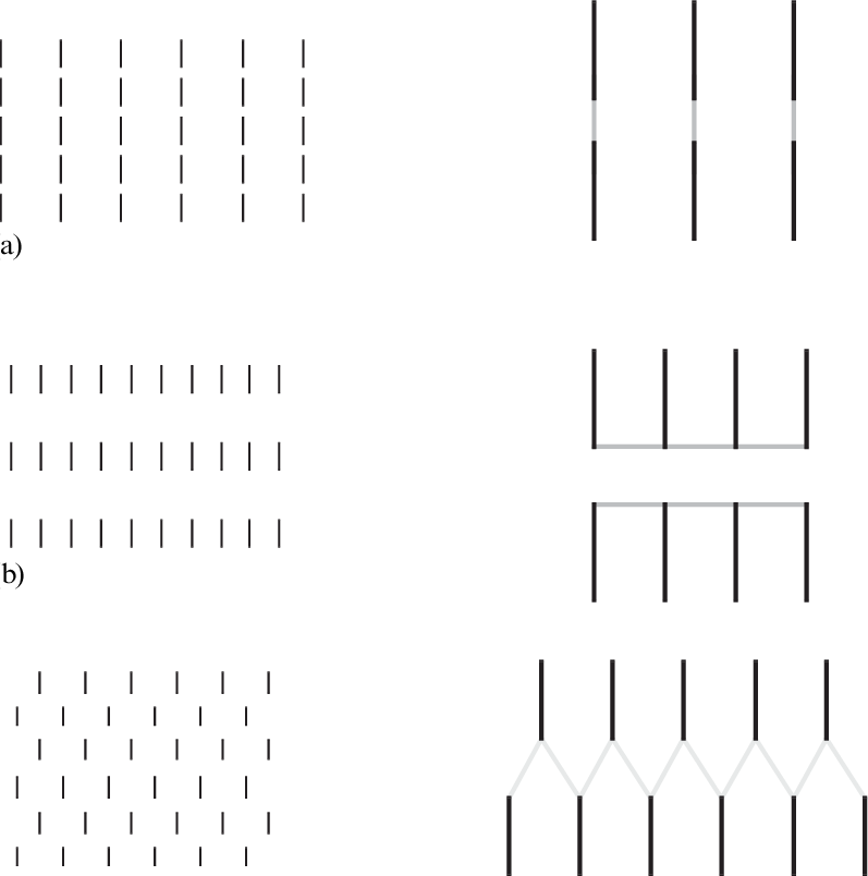 Amodal Illusory Contours That Form In Collinear, (b) - Amodal Perception (797x804), Png Download