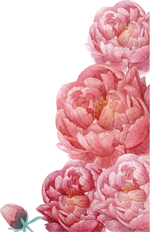 Pink Ink Flowers, Flowers Material, Watercolor Flowers, - Floral Clip Art Peonies (360x360), Png Download