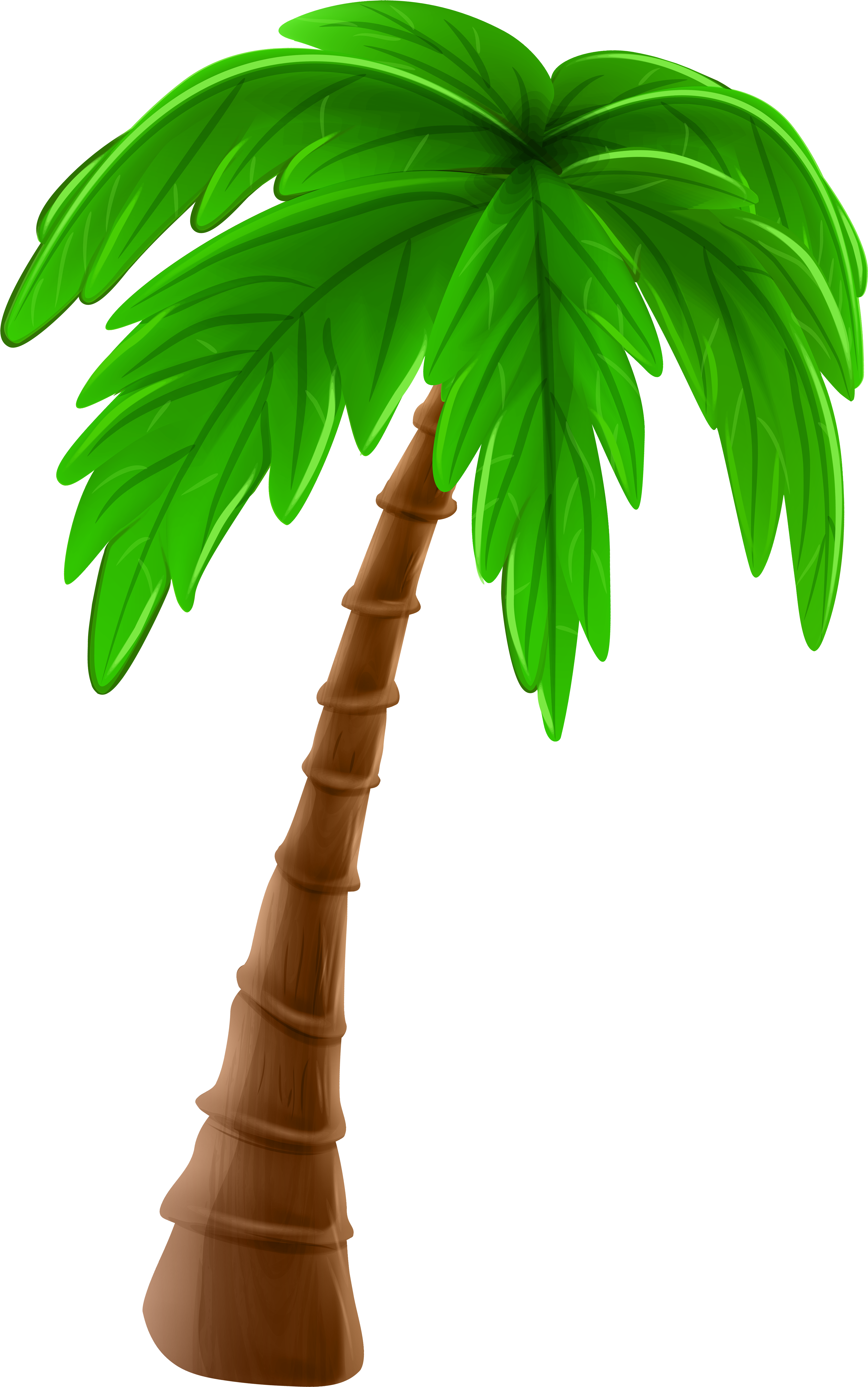 Cartoon Palm Tree Png - Palm Tree Animation Png (5026x8000), Png Download