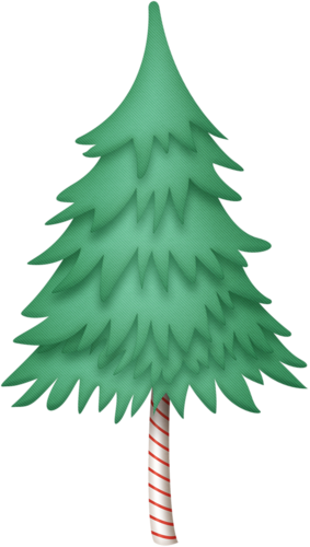 Pinetree - رسم شجرة صنوبر (283x500), Png Download