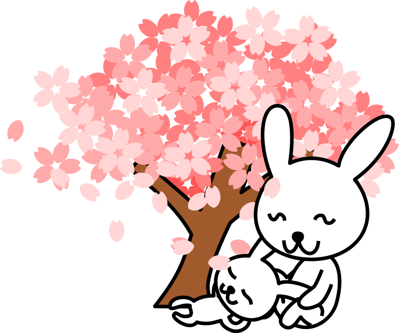 Cherry Blossoms Rabbit Free Vector - Japan Cherry Blossom Cartoon (800x669), Png Download