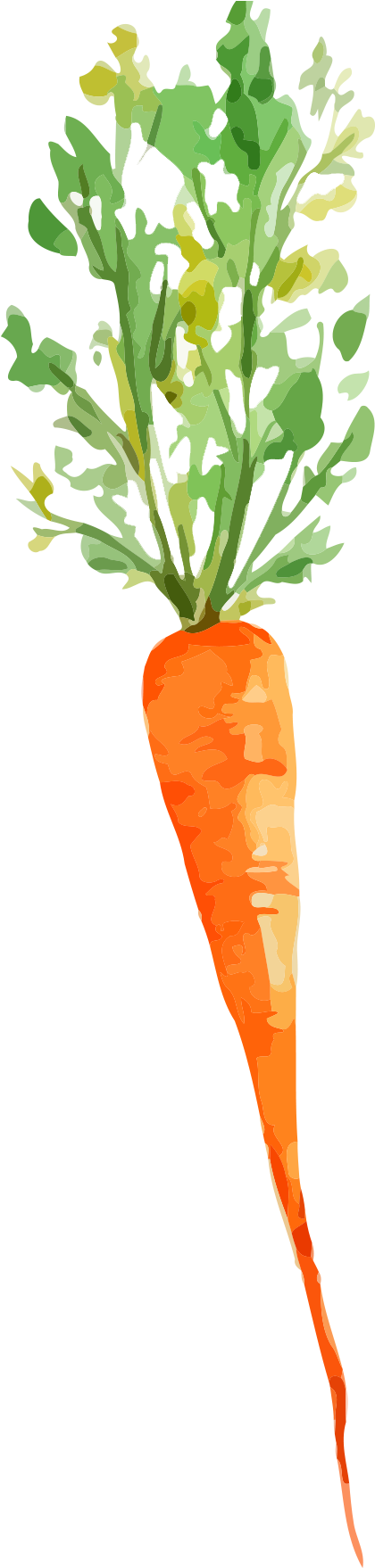Vegetable Painting Carrot Drawing - Cottage Greenhouse Carrot & Neroli Salt Scrub (2000x2000), Png Download