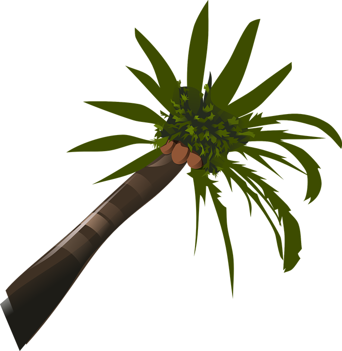 Palm Tree Svg Clip Arts 582 X 596 Px (582x596), Png Download