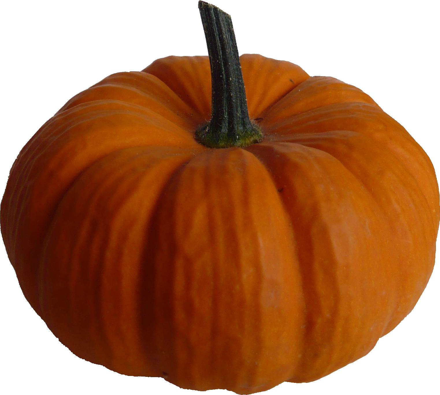 Real Pumpkin Png Image - Real Pumpkin Png (1523x1370), Png Download