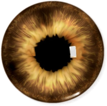 Eye Lens For Picsart (370x370), Png Download