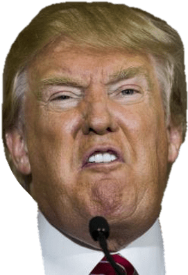 Donald Trump (400x400), Png Download