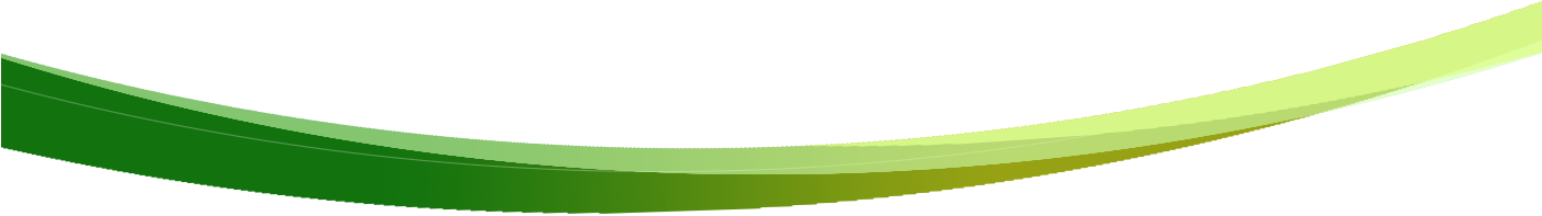 Green Line - Plate (1400x304), Png Download