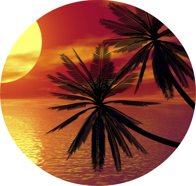 Palm Trees Sunset On Shore Photography Sea Line Photo - Vacation Spot (677x644), Png Download