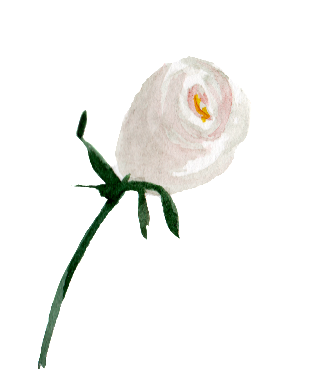 This Graphics Is White Watercolor Hand Painted Flowers - Watercolor Painting (1024x1024), Png Download