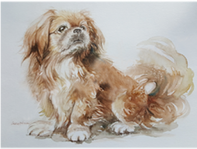 Cocker Spaniel (500x500), Png Download